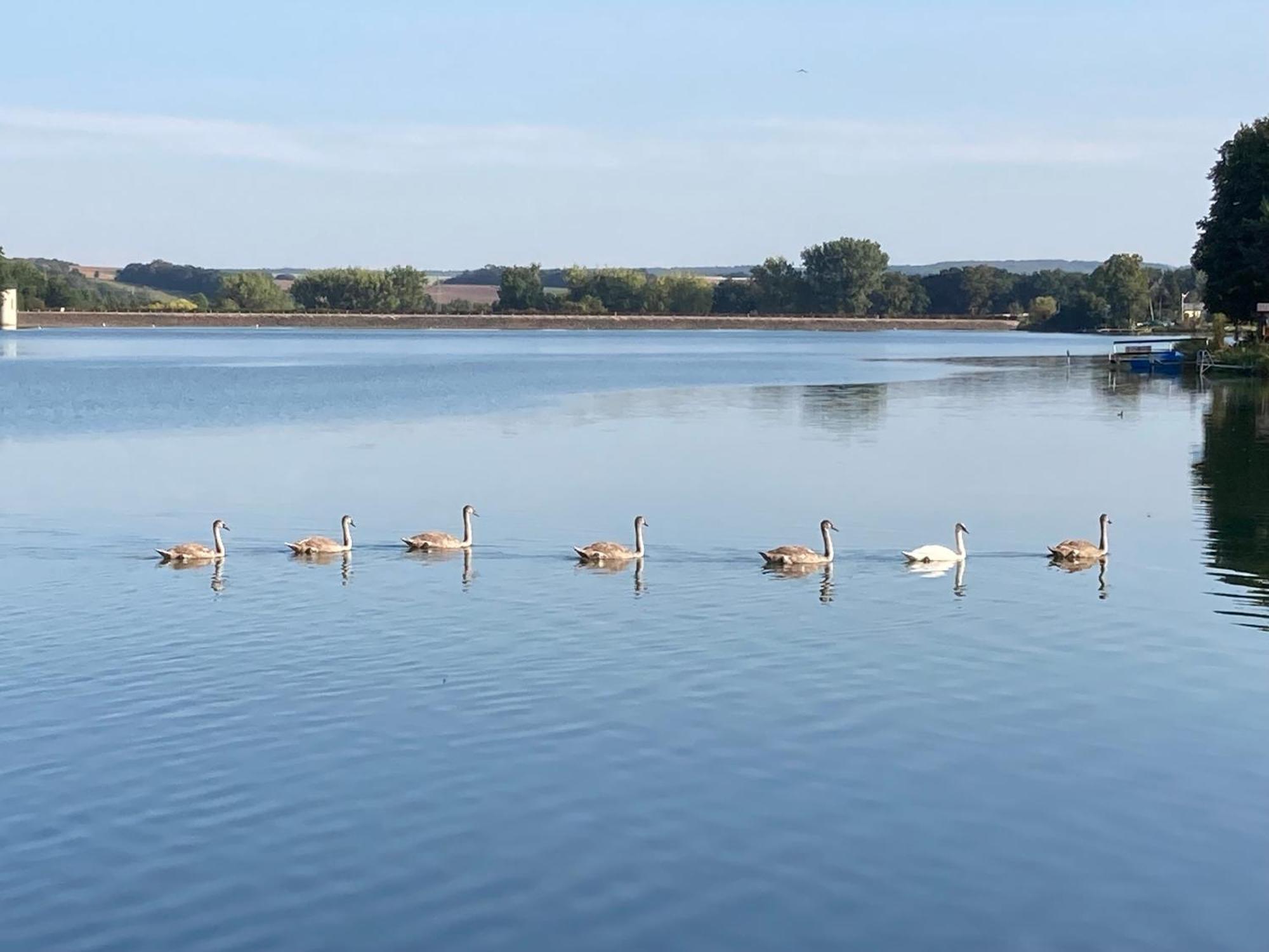 Campingfass Mit Panoramaterrasse Langenbernsdorf Eksteriør billede